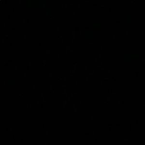 Meet your Posher, Manus